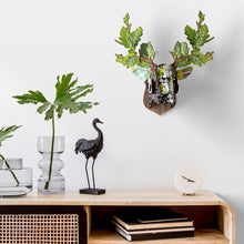 Carica l'immagine nel visualizzatore di Gallery, Lovers Oak