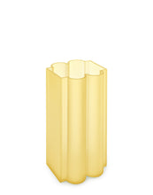 Carica l'immagine nel visualizzatore di Gallery, OKRA L