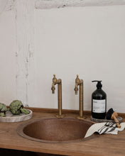 Carica l'immagine nel visualizzatore di Gallery, DISH WASH, FOREST GARDEN