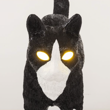 Carica l'immagine nel visualizzatore di Gallery, JOBBY THE CAT BLACK & WHITE