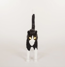 Carica l'immagine nel visualizzatore di Gallery, JOBBY THE CAT BLACK & WHITE