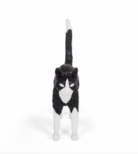 Carica l'immagine nel visualizzatore di Gallery, JOBBY THE CAT BLACK & WHITE