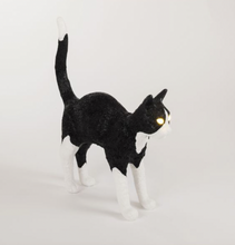 Carica l'immagine nel visualizzatore di Gallery, JOBBY THE CAT BLACK & WHITE