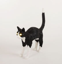 Carica l'immagine nel visualizzatore di Gallery, JOBBY THE CAT BLACK & WHITE