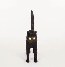 Carica l'immagine nel visualizzatore di Gallery, JOBBY THE CAT BLACK