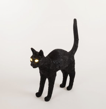 Carica l'immagine nel visualizzatore di Gallery, JOBBY THE CAT BLACK