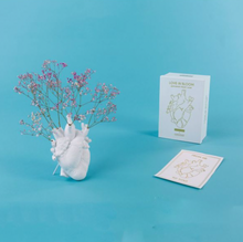 Carica l'immagine nel visualizzatore di Gallery, LOVE IN BLOOM VASO