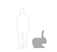 Carica l'immagine nel visualizzatore di Gallery, RABBIT CHAIR VELVET FINISH FUCSIA