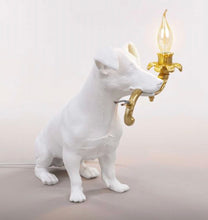 Carica l'immagine nel visualizzatore di Gallery, RIO LAMP