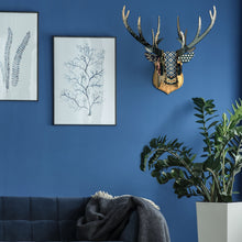 Carica l'immagine nel visualizzatore di Gallery, The Runner